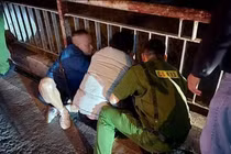 Khống chế nam thanh niên có ý định tự tử trên cầu Chương Dương