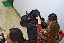 Điều tra vụ người phụ nữ bị túm tóc, đánh tại hành lang chung cư Hà Nội