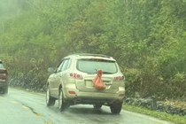 Xử phạt trường hợp che kín biển số xe khi tham gia giao thông ở Cao Bằng