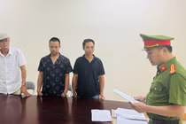 Bắt tạm giam cán bộ hải quan vì khai thác rừng trái phép