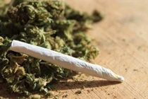 Truy tố 3 cựu cán bộ Công an nhận tiền của người sử dụng cần sa