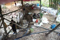 Lật tẩy bí mật nằm sâu trong vườn nhà người đàn ông ở Tuyên Quang