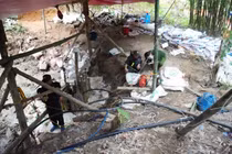 Lật tẩy bí mật nằm sâu trong vườn nhà người đàn ông ở Tuyên Quang