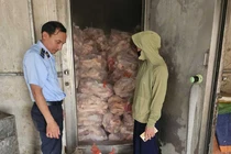 Phát hiện hơn 3 tấn xương bò không rõ nguồn gốc ở Hà Nội