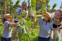 Mãn nhãn khu vườn xanh mướt của diễn viên Chi Bảo và vợ trẻ