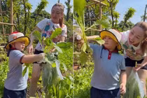 Mãn nhãn khu vườn xanh mướt của diễn viên Chi Bảo và vợ trẻ