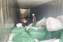 Khởi tố vụ xuất khống 1.400 tấn chân gà đông lạnh