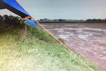 Bí ẩn cái chết thương tâm của nữ chủ quán cắt tóc