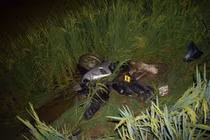 Danh tính tài xế gây tai nạn chết người, bỏ trốn ở Bắc Giang