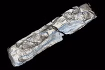 Giải mã nghi thức mai táng trẻ em thời La Mã