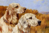 Dự đoán ngày mới 22/7/2025 cho 12 con giáp: Dần cân nhắc