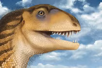 Sau hơn 4 thập kỷ, hóa thạch hộp sọ quái vật hơn 200 triệu tuổi được giải mã