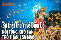 [INFOGRAPHIC] Sự thật thú vị về Biển Đỏ - nơi từng khô cạn trở thành sa mạc