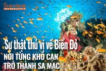 [INFOGRAPHIC] Sự thật thú vị về Biển Đỏ - nơi từng khô cạn trở thành sa mạc