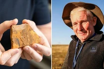 Bất ngờ phát hiện loài muỗi mới cách nay 151 triệu năm