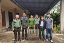 2 cá thể khỉ quý hiếm 'đi lạc' vào nhà dân Quảng Trị được giao nộp