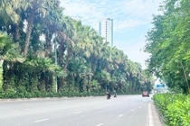 Thời tiết ngày 14/9: Hà Nội ngày nắng, chiều tối mưa dông