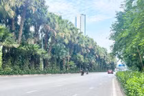 Thời tiết ngày 14/9: Hà Nội ngày nắng, chiều tối mưa dông