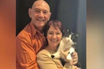 Mèo 'mất tích' ở Tây Ban Nha, đi gần 250 km để về nhà ở Pháp