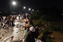 Lũ sông Cầu đạt đỉnh, gần 2.000 người ở Bắc Ninh xuyên đêm đắp đê Đẩu Hàn