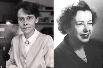 Ba nhà khoa học nữ nổi tiếng có ảnh hưởng lớn trên thế giới