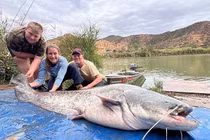 Câu được cá trê khủng nặng cả tạ, cần thủ tái mặt!