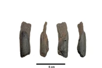 Công cụ gỗ cổ xưa nhất của Hy Lạp hé lộ bí mật lịch sử