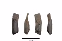 Công cụ gỗ cổ xưa nhất của Hy Lạp hé lộ bí mật lịch sử