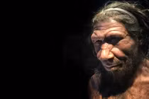 Người Neanderthal biến mất bí ẩn, chuyên gia tìm thấy manh mối từ gene