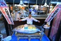 Những cuộc săn cá ngừ vây xanh đắt nhất thế giới