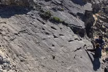 Phát hiện dấu chân 78.000 năm tuổi lộ bí mật bất ngờ