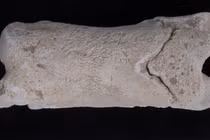 Bí ẩn cuộc sống người canh giữ lăng mộ qua chiếc còi xương cổ