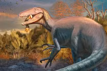 Giật mình phát hiện khủng long khổng lồ ngậm chân cá sấu