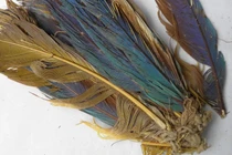 Bật mí khó tin về cách mai táng của nền văn hóa tiền Inca