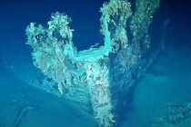 Trục vớt kho báu 20 tỷ USD trong xác tàu đắm dưới biển Caribe