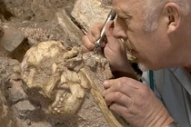 Hóa thạch Little Foot viết lại lịch sử tiến hóa loài người