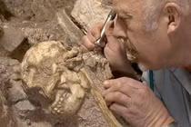 Hóa thạch Little Foot viết lại lịch sử tiến hóa loài người