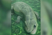 Hóa thạch 275 triệu năm tuổi hé lộ thủy quái có hàm răng xoắn kỳ dị