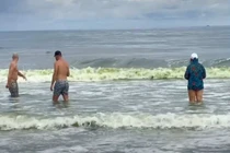 Nước biển Vũng Tàu biến màu xanh lá kỳ lạ, chuyên gia giải mã sao?