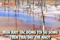 [INFOGRAPHIC] Mưa axit tác động tới sự sống trên Trái đất thế nào?