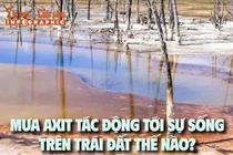 [INFOGRAPHIC] Mưa axit tác động tới sự sống trên Trái đất thế nào?