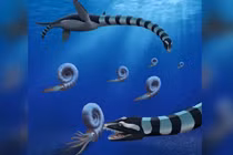 Hóa thạch khủng 85 triệu tuổi giải mật điều chưa từng thấy