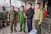 Khỉ lang thang vào khu dân cư ở Quảng Trị quý hiếm cỡ nào?