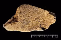 Giật mình sự khéo léo của người xưa cách nay 480.000 năm