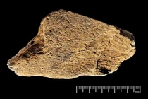 Giật mình sự khéo léo của người xưa cách nay 480.000 năm