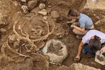 Khai quật khu chôn cất thời Đồ sắt nghi liên quan đến nữ hoàng Celt quyền lực