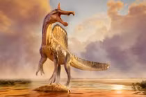 Hóa thạch 96 triệu tuổi hé lộ loài khủng long y hệt 'con cò khổng lồ'