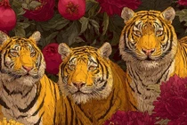 Bính Ngọ 2026, 5 con giáp hết sạch nợ nần... phát tài rực rỡ