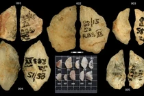 Năm mũi tên tẩm độc hé lộ chiến thuật săn bắn đỉnh cao của người xưa