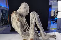 Giật mình xác ướp “người ngoài hành tinh” có cả bào thai